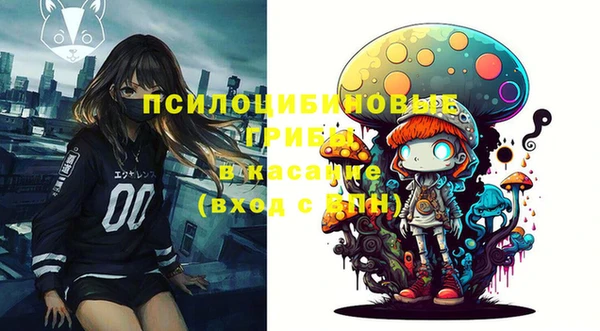соль ск Абаза