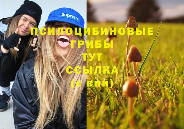 соль ск Абаза